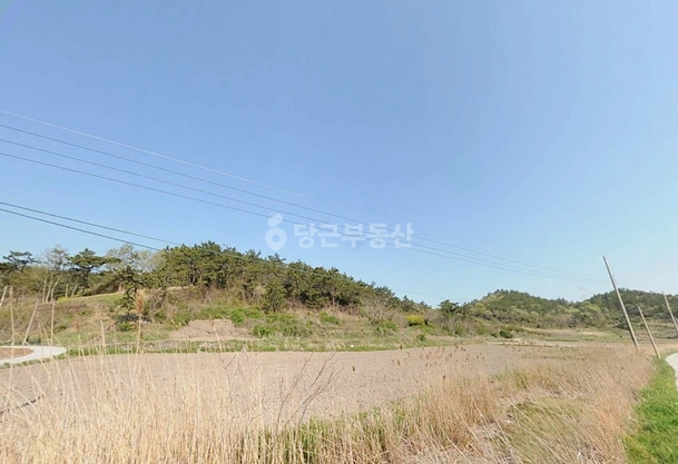 전남광주통합특별시 신안군 지도읍 토지 사진 1