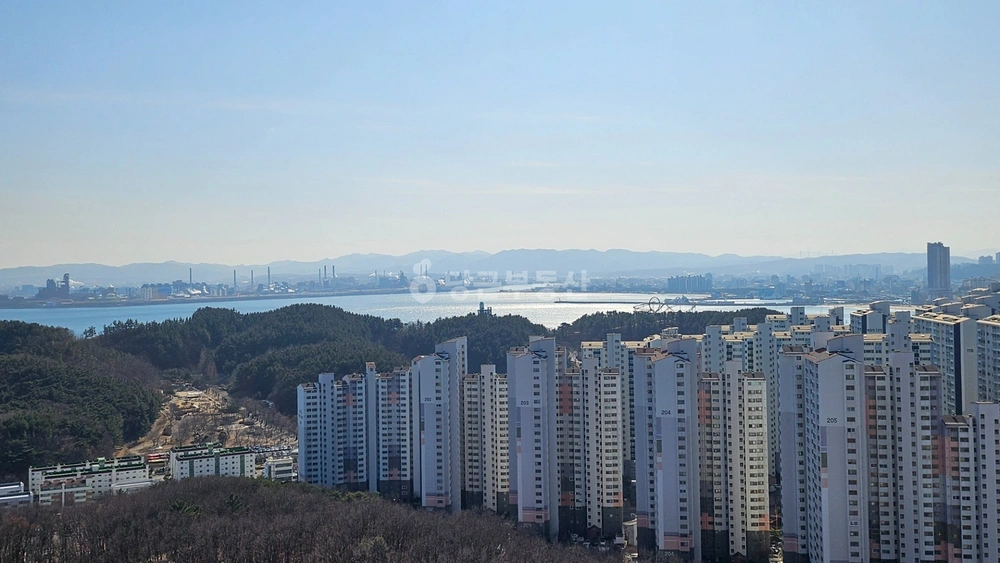 경상북도 포항시 북구 양덕동 아파트 사진 1