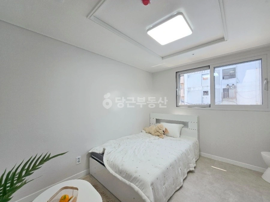 대전광역시 서구 갈마동 원룸 사진 1