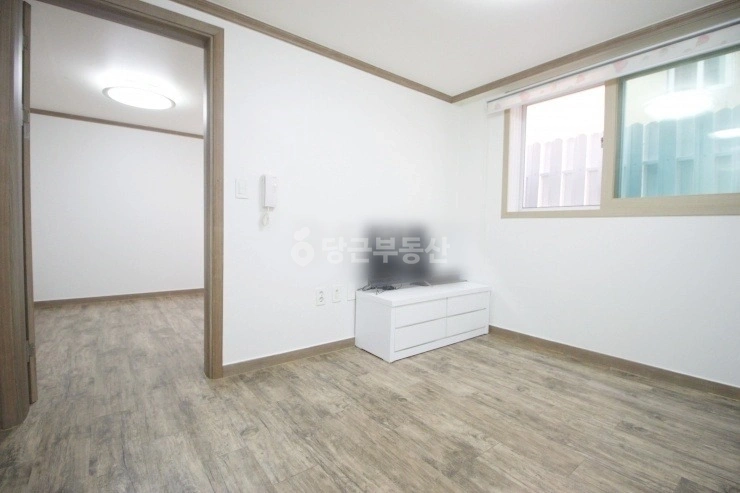 대전광역시 서구 괴정동 원룸 사진 1