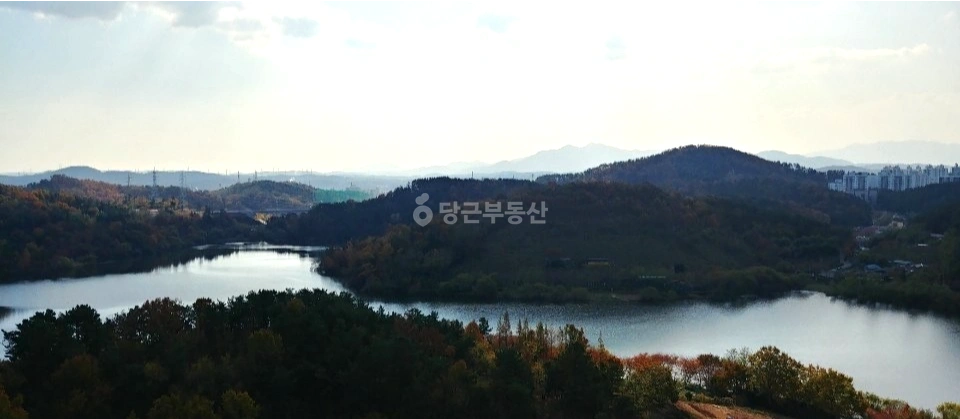 울산광역시 남구 야음동 아파트 사진 1