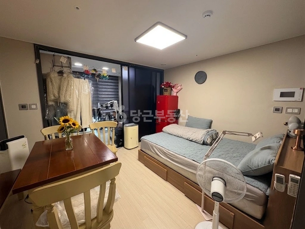 제주특별자치도 제주시 노형동 오피스텔 사진 1