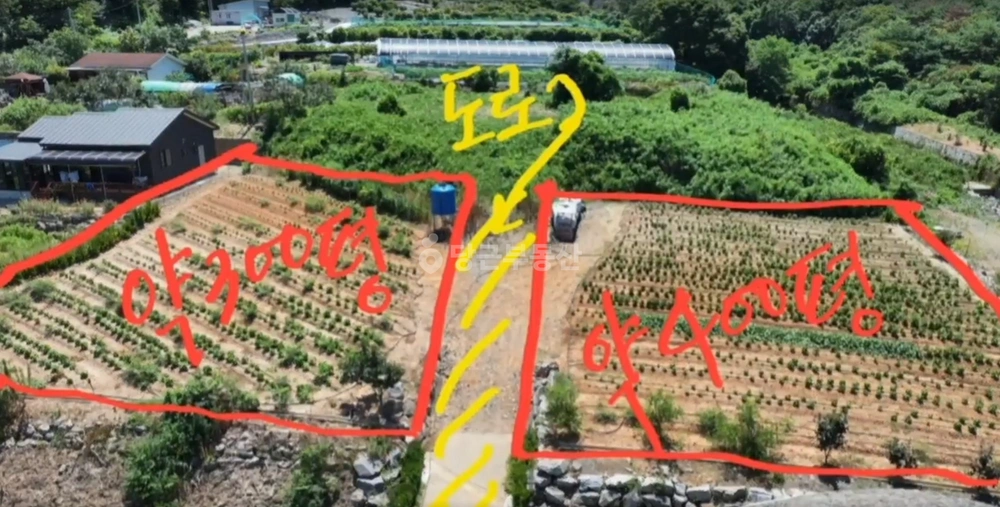 충청남도 보령시 청라면 토지 사진 1