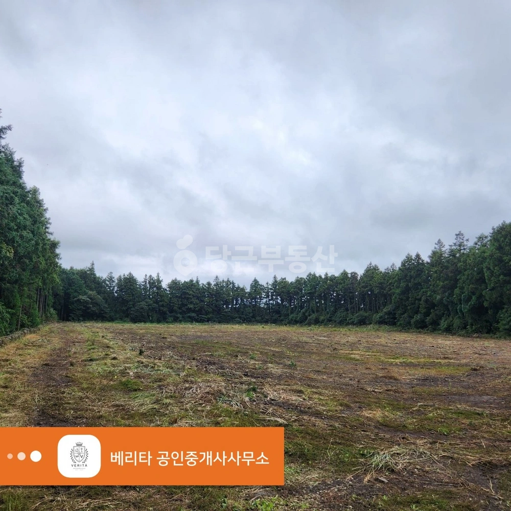 제주특별자치도 제주시 구좌읍 토지 사진 1