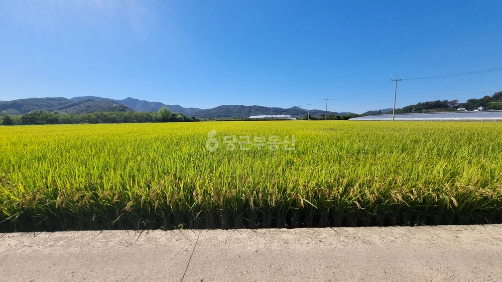 경상남도 창원시 의창구 동읍 토지 사진 1