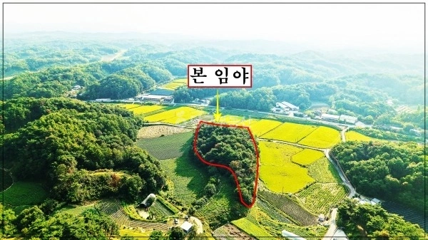 경상북도 영주시 이산면 토지 사진 1