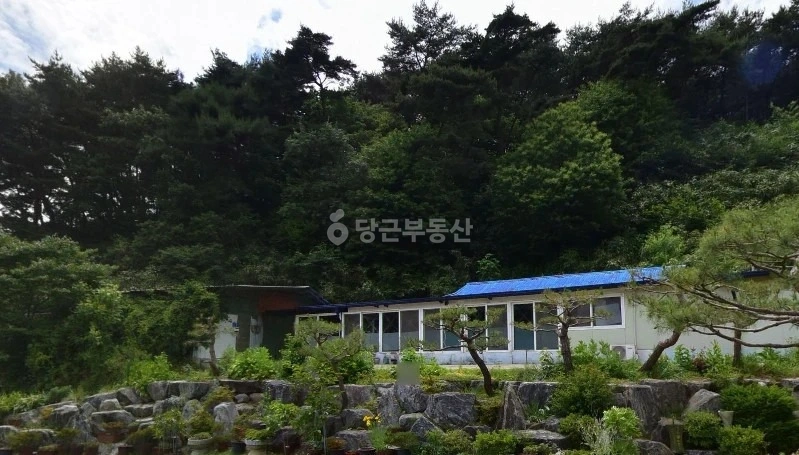 충청남도 홍성군 서부면 단독/전원주택 사진 1