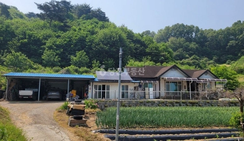 충청남도 홍성군 홍동면 단독/전원주택 사진 1