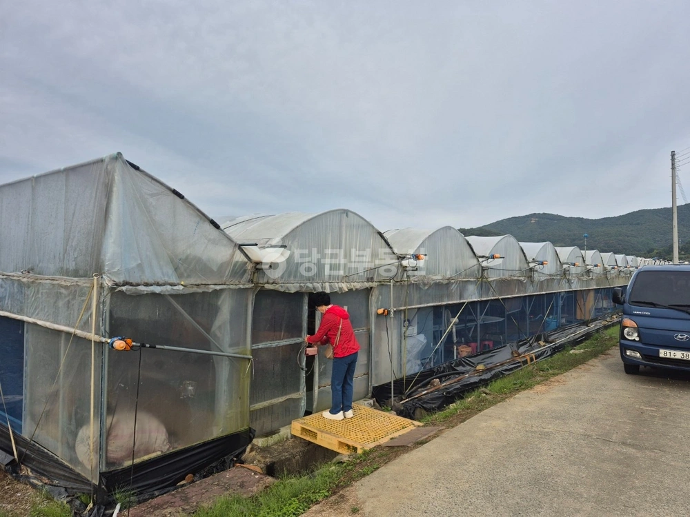 충청남도 청양군 비봉면 토지 사진 1