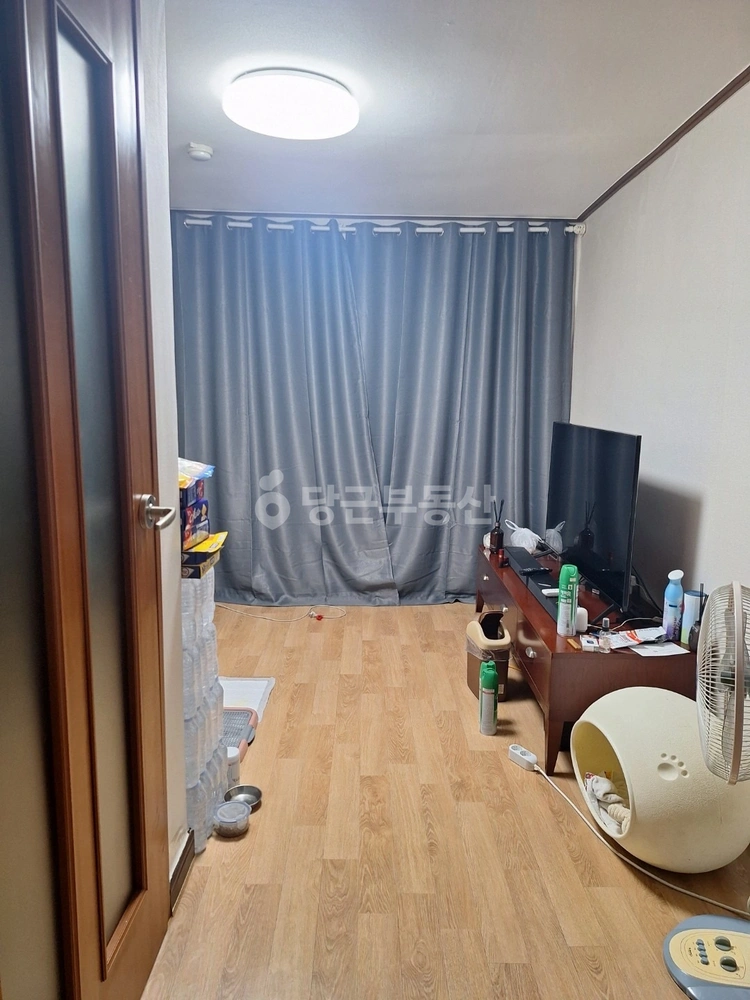부산광역시 수영구 광안동 빌라(투룸 이상) 사진 1