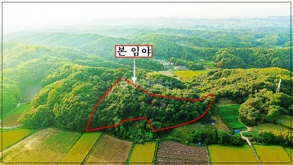 경상북도 영주시 이산면 토지 사진 1