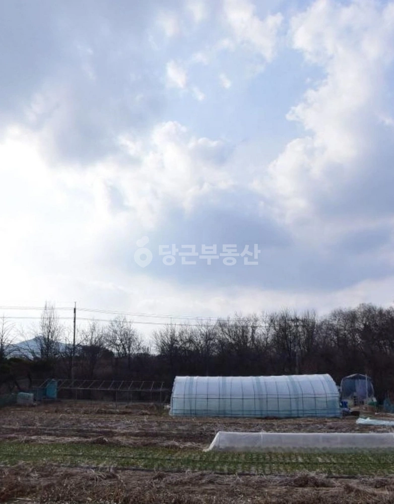 경기도 이천시 설성면 토지 사진 1