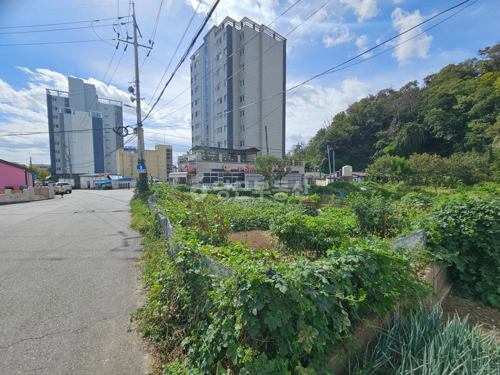 경상북도 포항시 남구 구룡포읍 토지 사진 1
