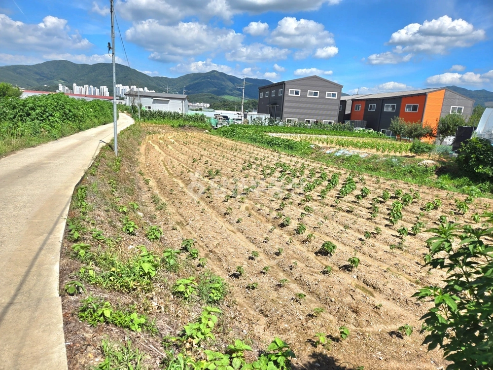 경기도 광주시 추자동 토지 사진 1