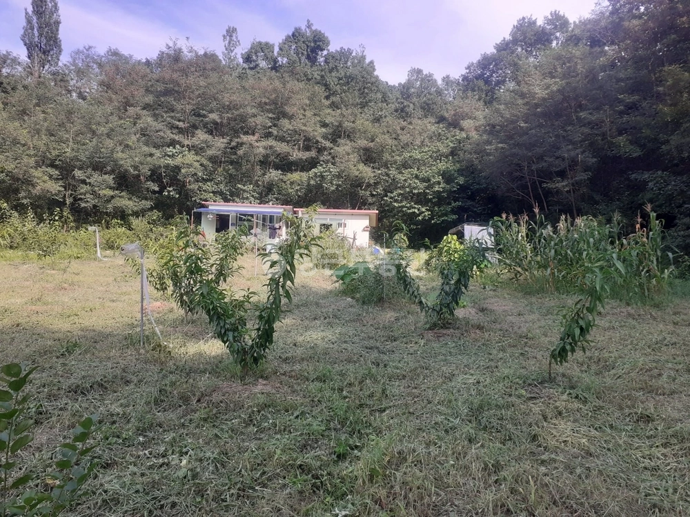 충청북도 옥천군 이원면 토지 사진 1