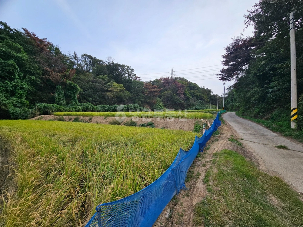 경상북도 포항시 남구 대송면 토지 사진 1