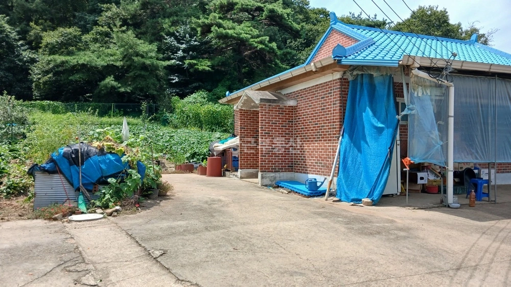 인천광역시 강화군 송해면 단독/전원주택 사진 1