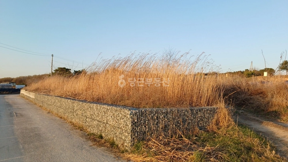 경기도 여주시 멱곡동 토지 사진 1