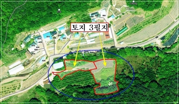 경상북도 영양군 입암면 토지 사진 1