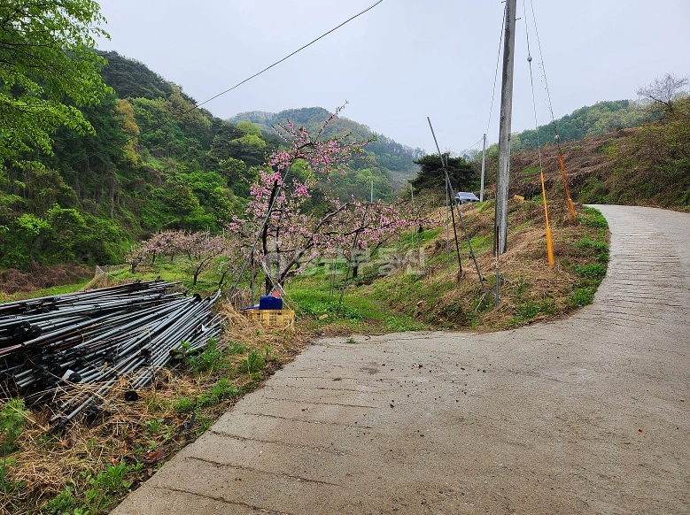 충청북도 충주시 엄정면 토지 사진 1