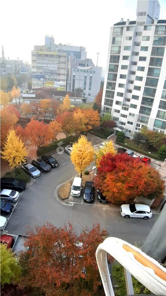 경기도 고양시 일산동구 중산동 아파트 사진 1