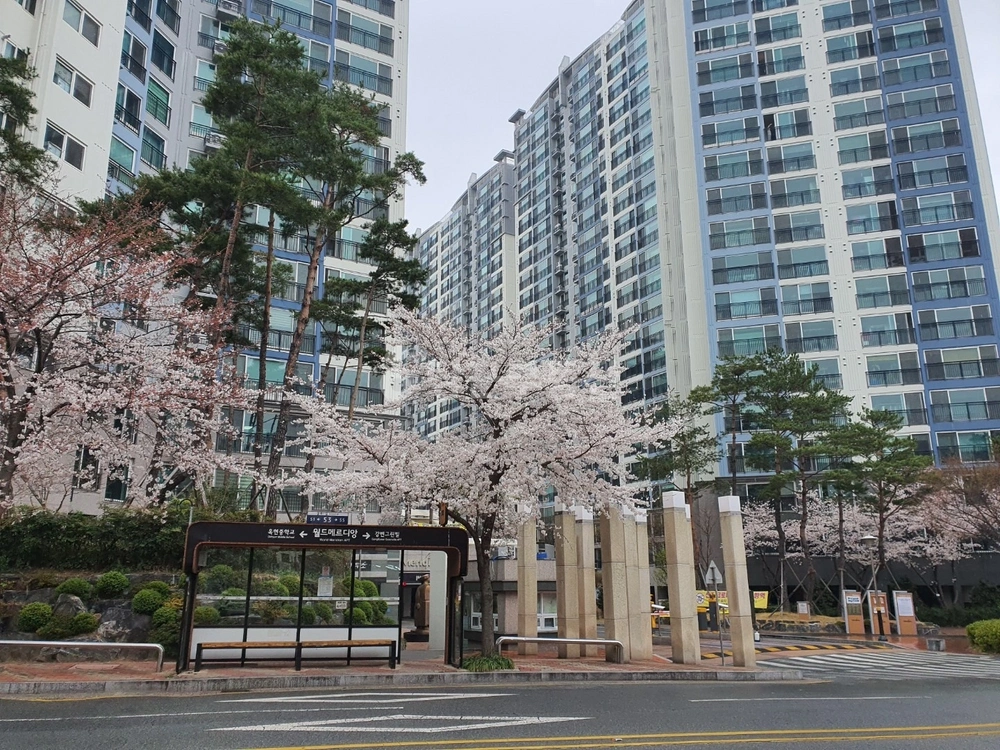 울산광역시 울주군 범서읍 아파트 사진 1
