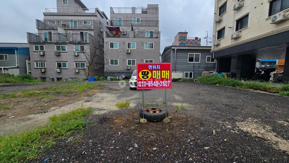 경기도 시흥시 정왕동 토지 사진 1