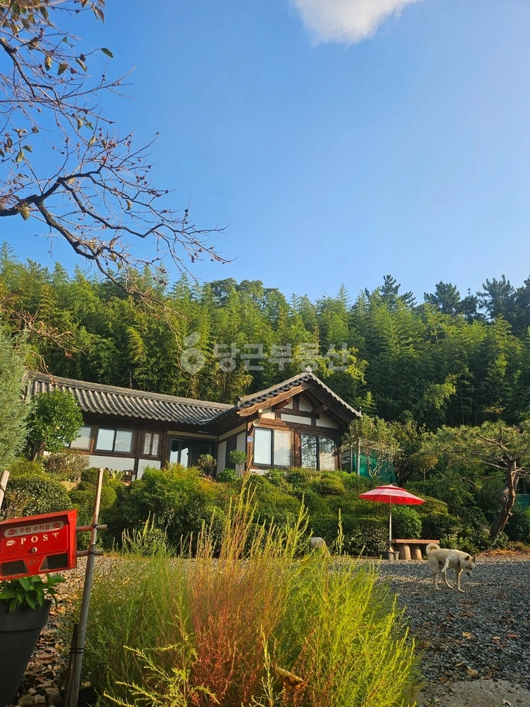 경상북도 청도군 청도읍 단독/전원주택 사진 1