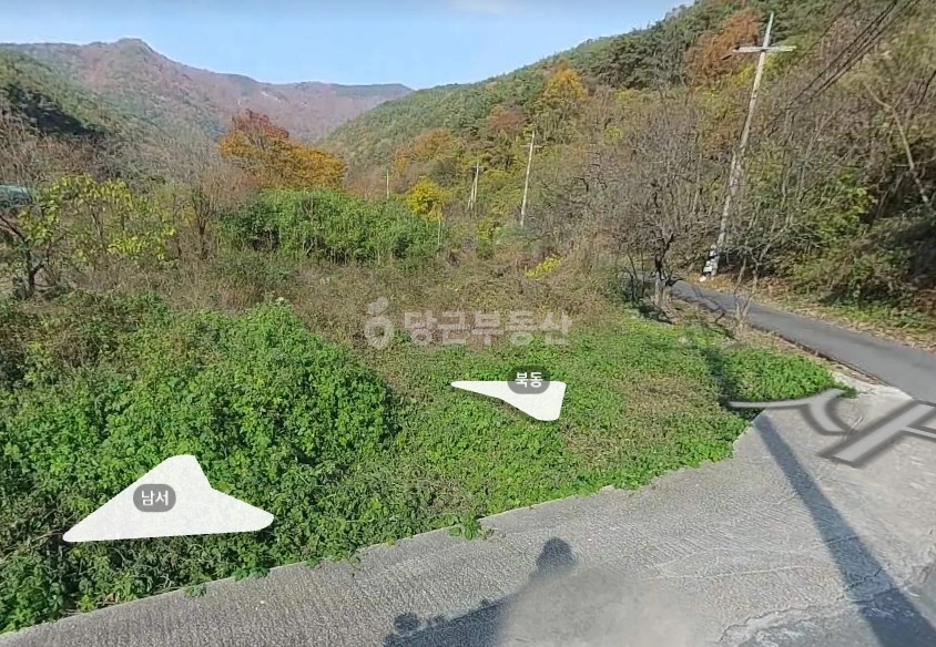 경상남도 밀양시 단장면 토지 사진 1