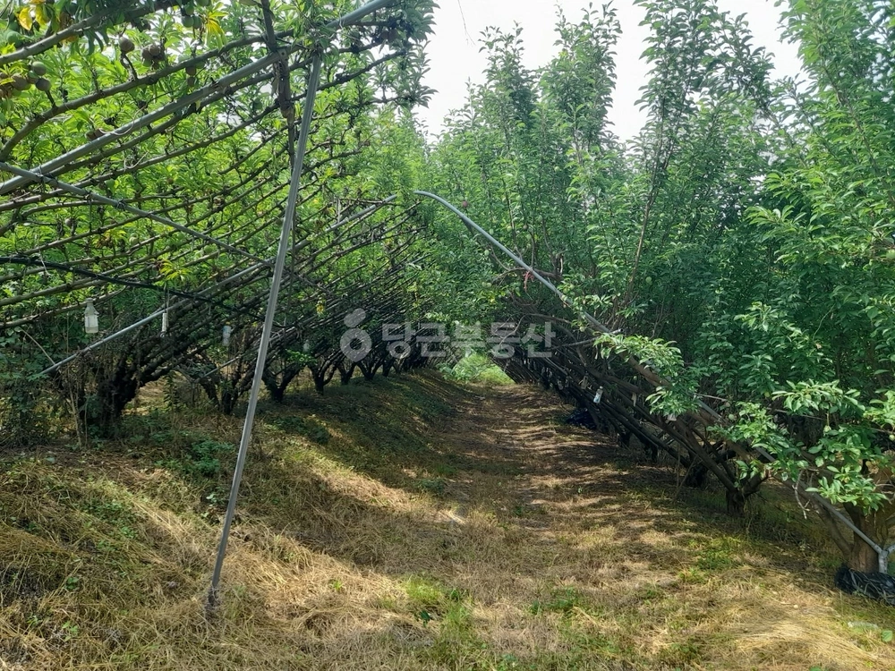 충청북도 옥천군 청성면 토지 사진 1