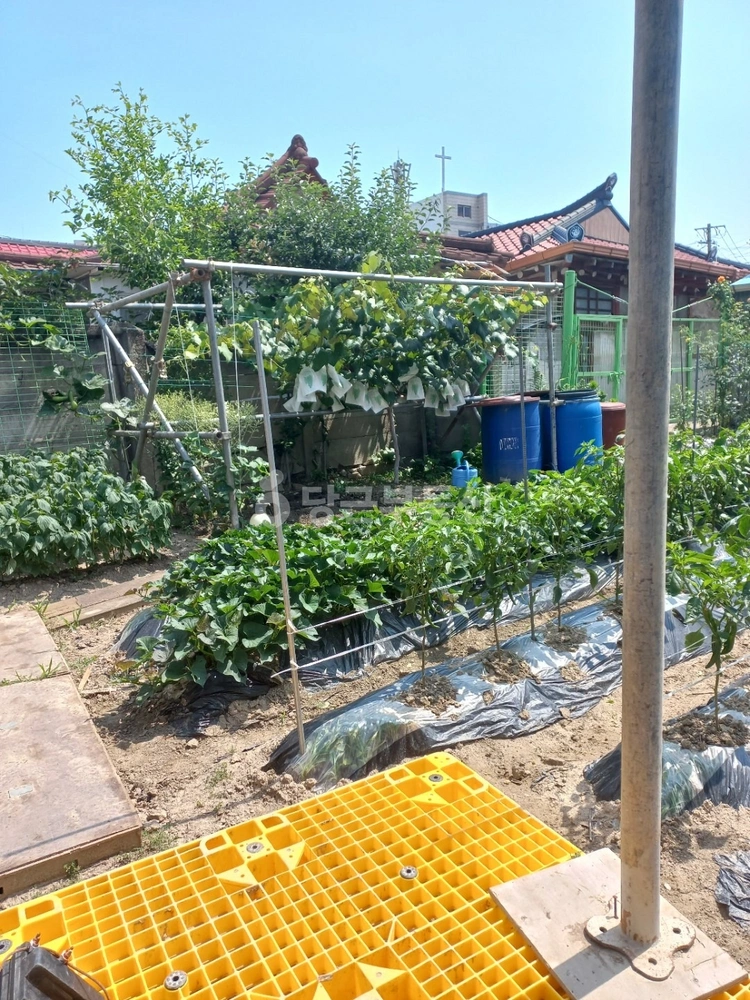 충청북도 청주시 상당구 금천동 토지 사진 1