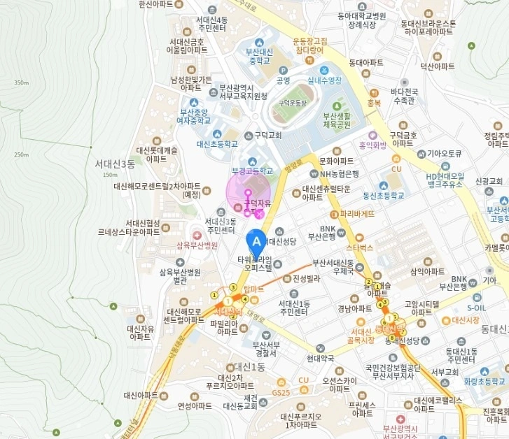 부산광역시 서구 서대신동3가 단독/전원주택 사진 1