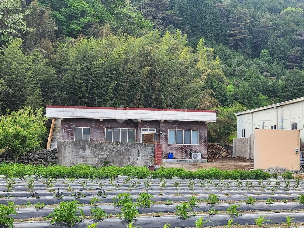 경상남도 사천시 사남면 단독/전원주택 사진 1