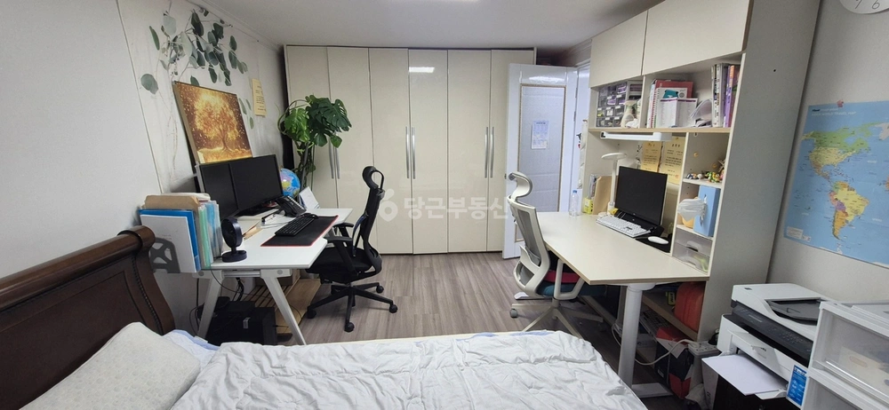 대전광역시 서구 괴정동 빌라(투룸 이상) 사진 1