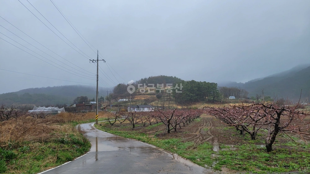경상북도 청도군 금천면 토지 사진 1