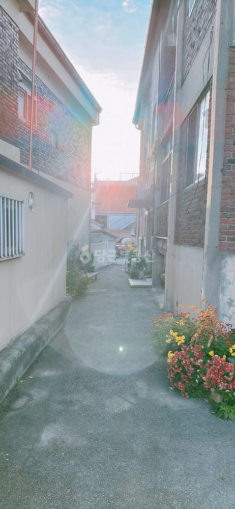 충청북도 청주시 상당구 용담동 빌라(투룸 이상) 사진 1