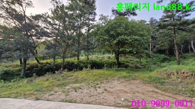 전북특별자치도 전주시 완산구 석구동 토지 사진 1