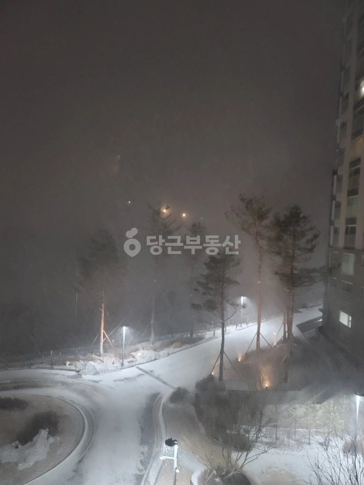 강원특별자치도 고성군 토성면 아파트 사진 1