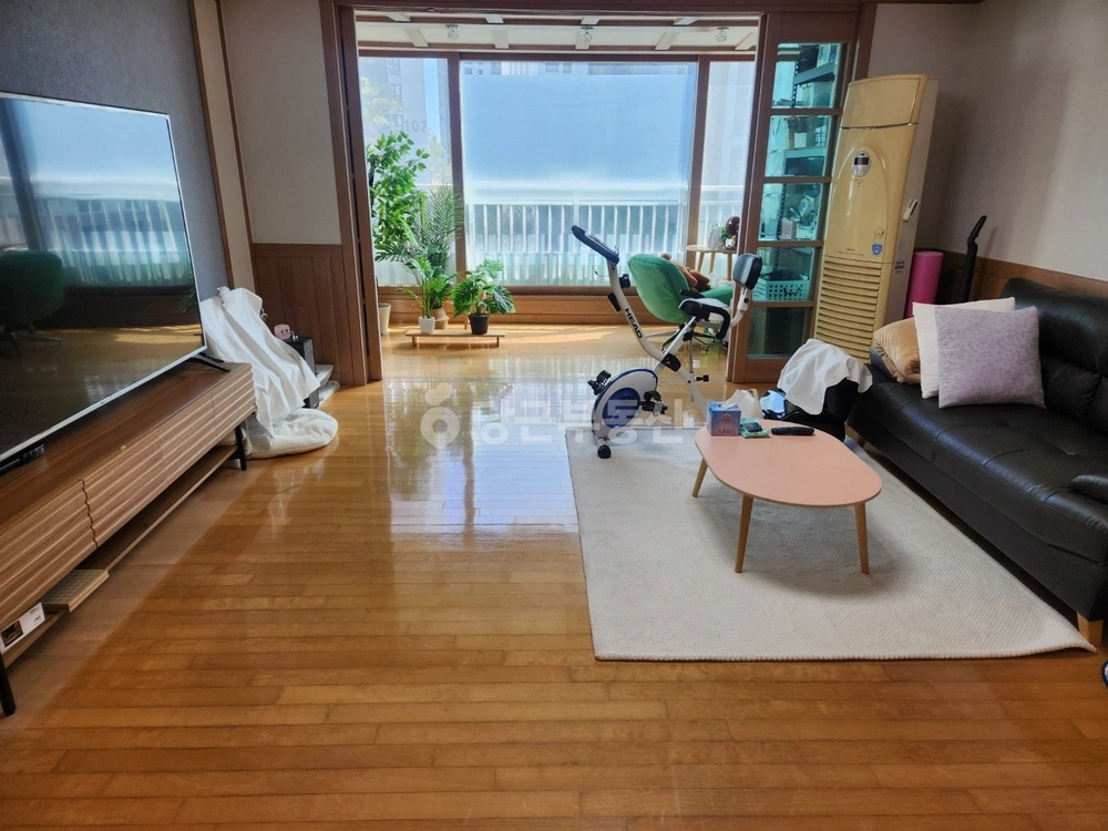 강원특별자치도 속초시 금호동 아파트 사진 1