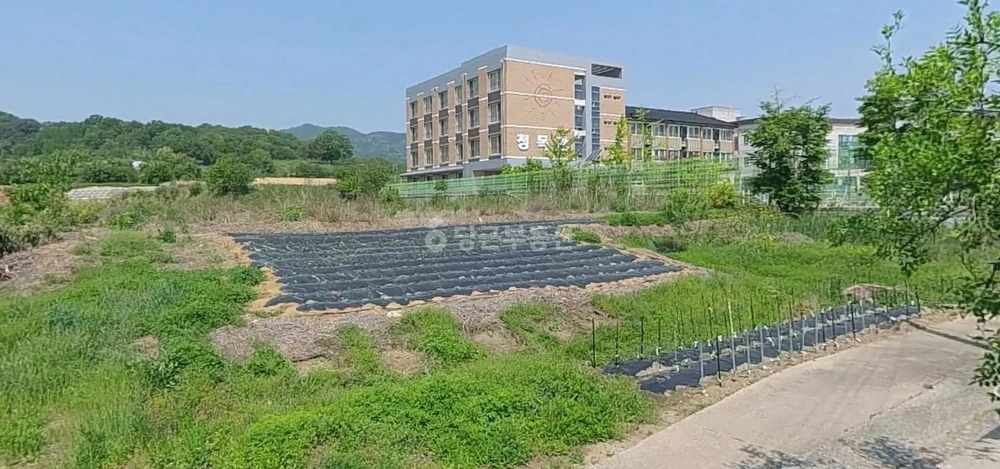 경상북도 칠곡군 약목면 토지 사진 1