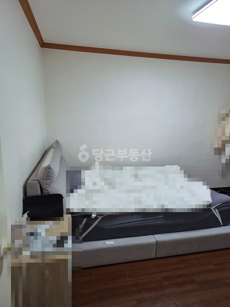 경상남도 창원시 성산구 상남동 빌라(투룸 이상) 사진 1