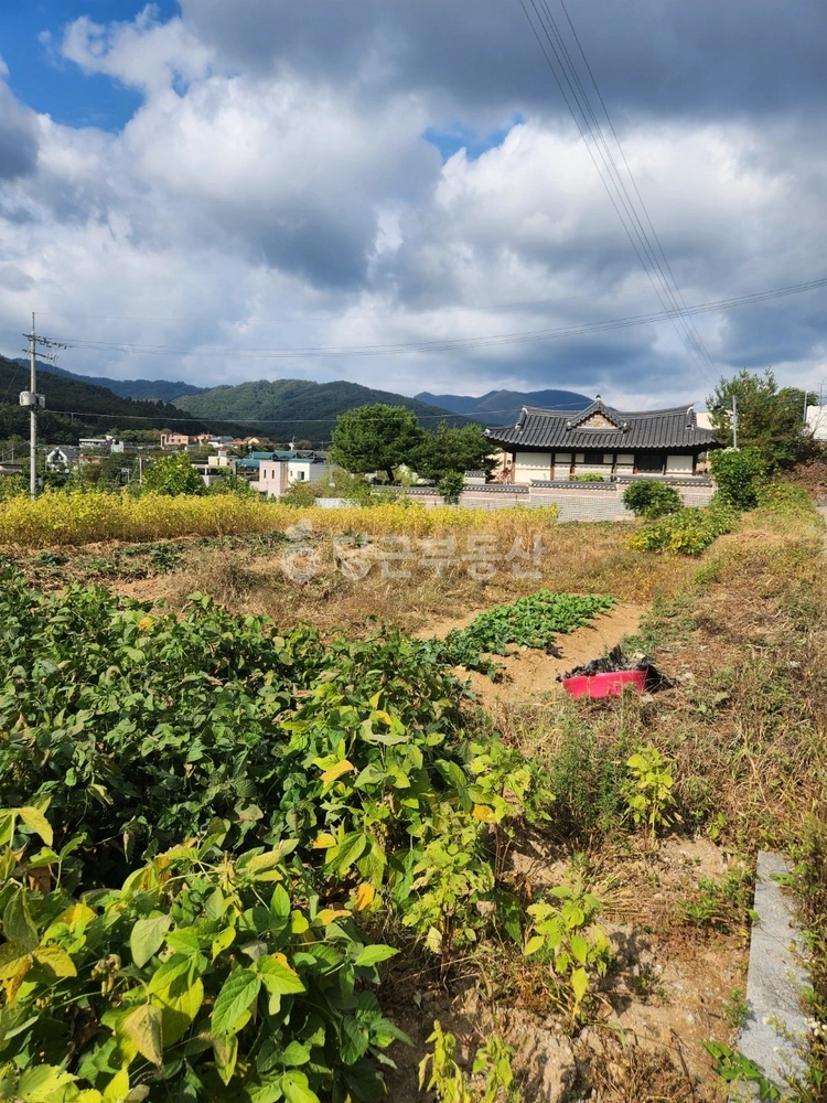경기도 남양주시 수동면 토지 사진 1