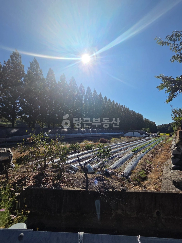 전남광주통합특별시 담양군 금성면 토지 사진 1