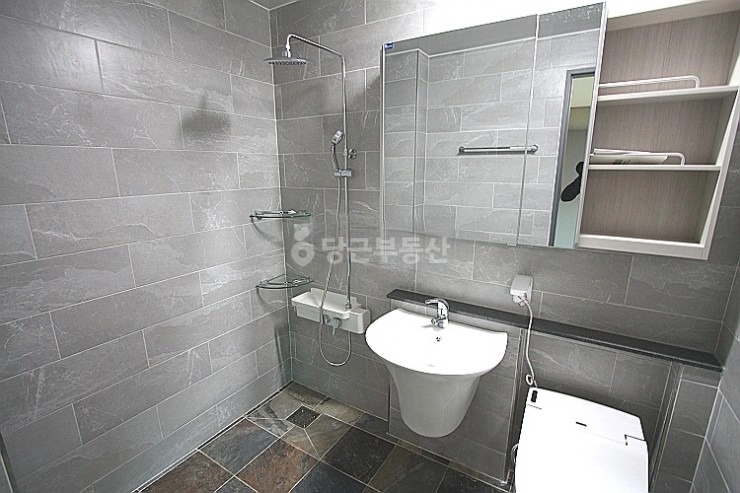 대전광역시 서구 도안동 빌라(투룸 이상) 사진 1