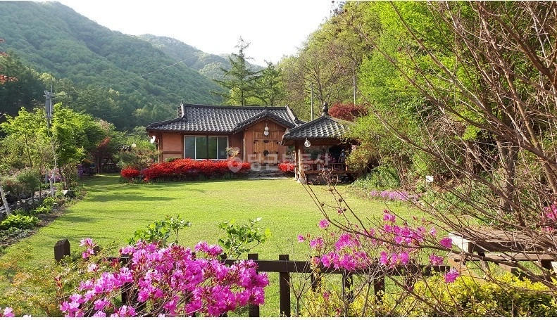 충청북도 청주시 상당구 미원면 단독/전원주택 사진 1