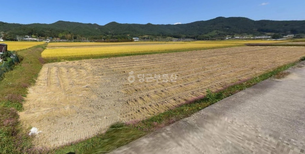 전남광주통합특별시 보성군 복내면 토지 사진 1