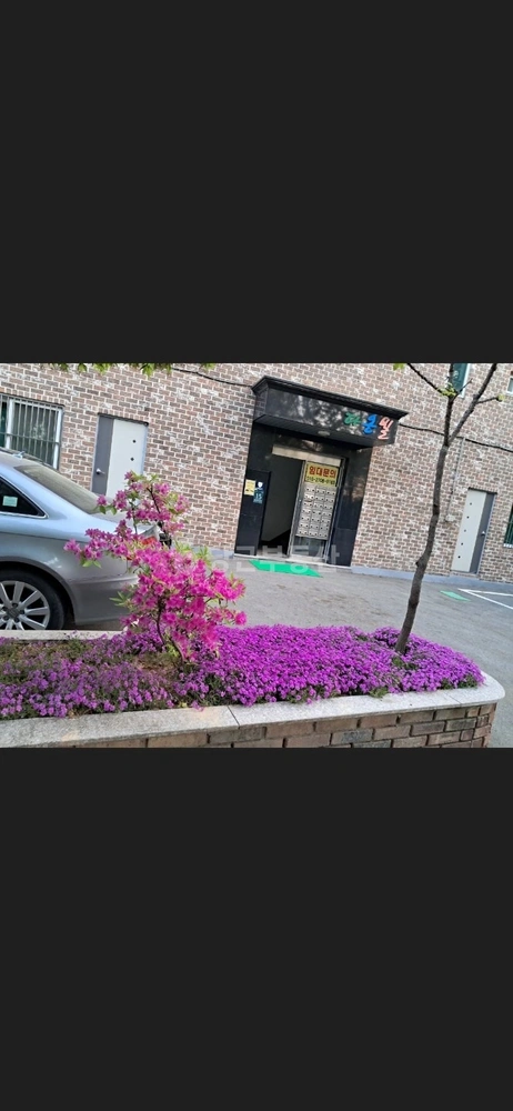 경기도 용인시 기흥구 고매동 원룸 사진 1