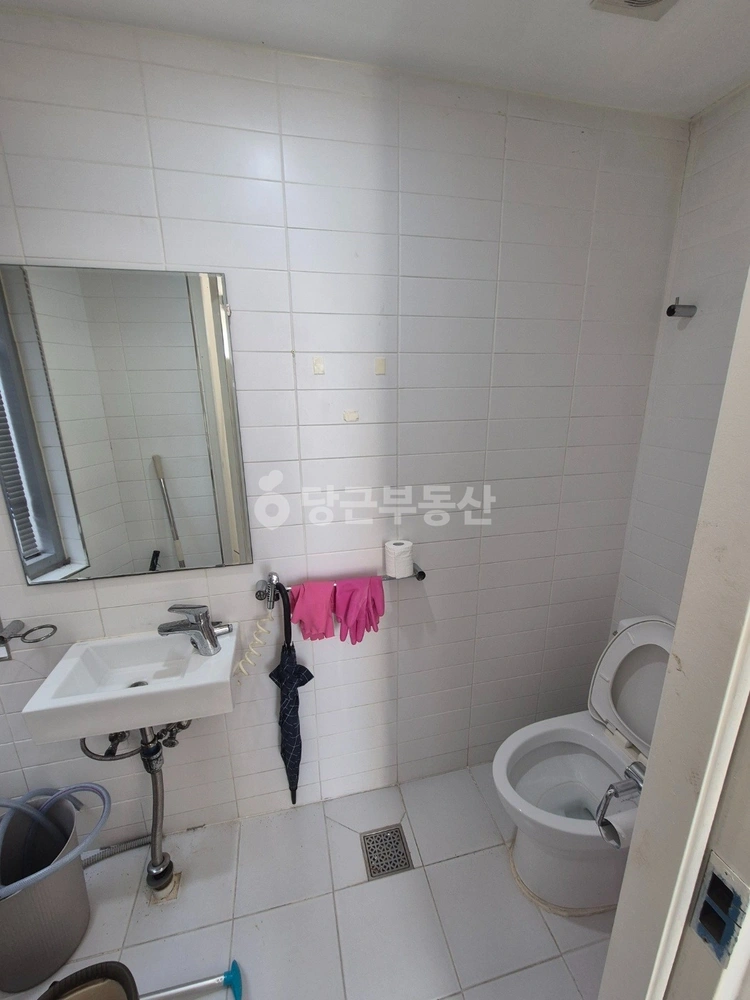 강원특별자치도 속초시 교동 상가 사진 1