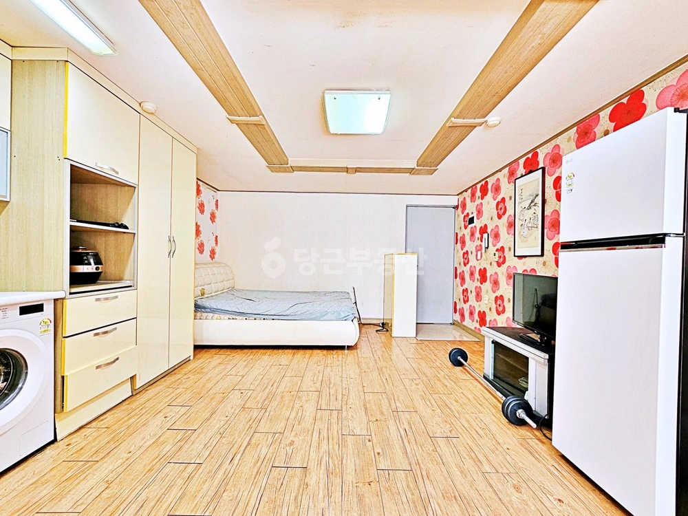 부산광역시 사하구 하단동 원룸 사진 1