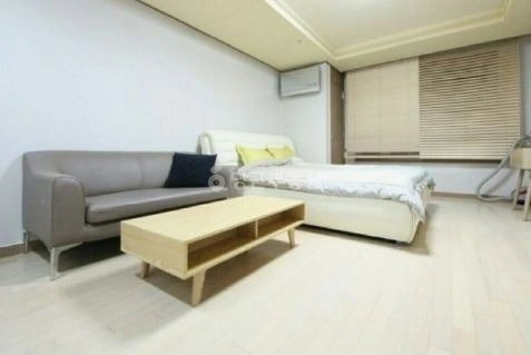서울특별시 강남구 역삼동 오피스텔 사진 1